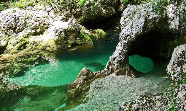 VABILO NA POHOD V BOHINJ